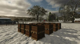 More Honey Pallet Place Options