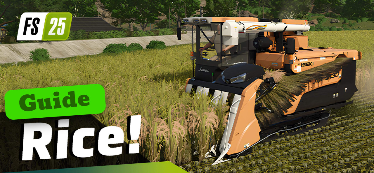 FS25 Rice Guide: Planting, Growing, Harvesting and Selling