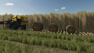 Bigger Biobales