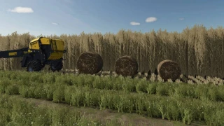 Bigger Biobales