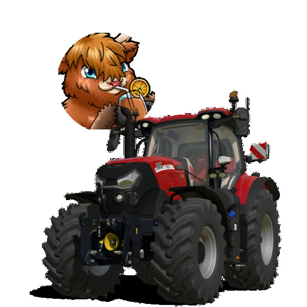 CaseIH Puma Customization