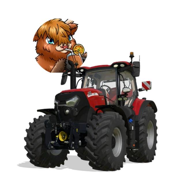 CaseIH Puma Customization