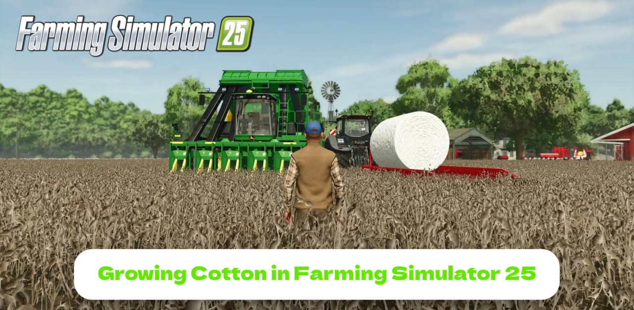 Growing Cotton in Farming Simulator 25: Planting, Harvesting, Selling