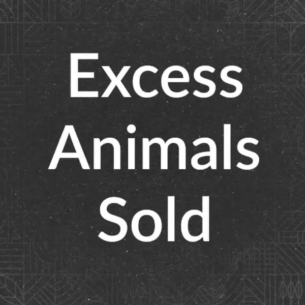 Excess Animal Sold