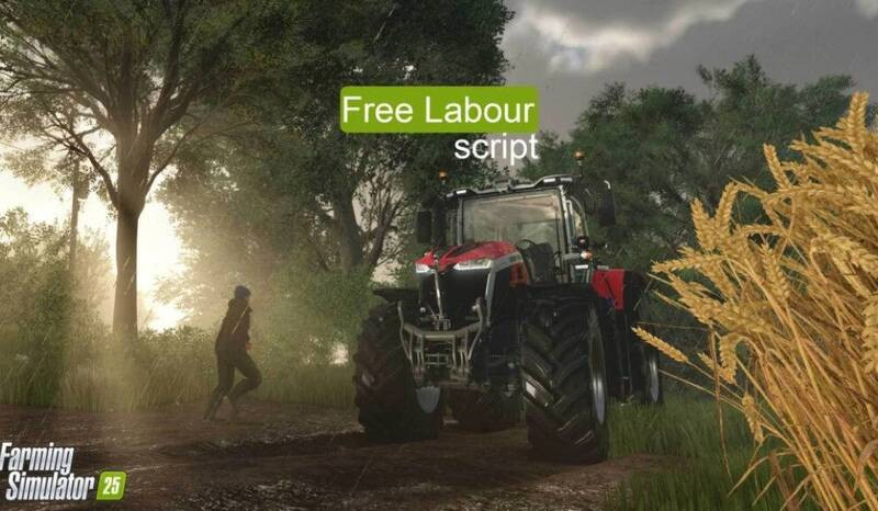 Free Labour