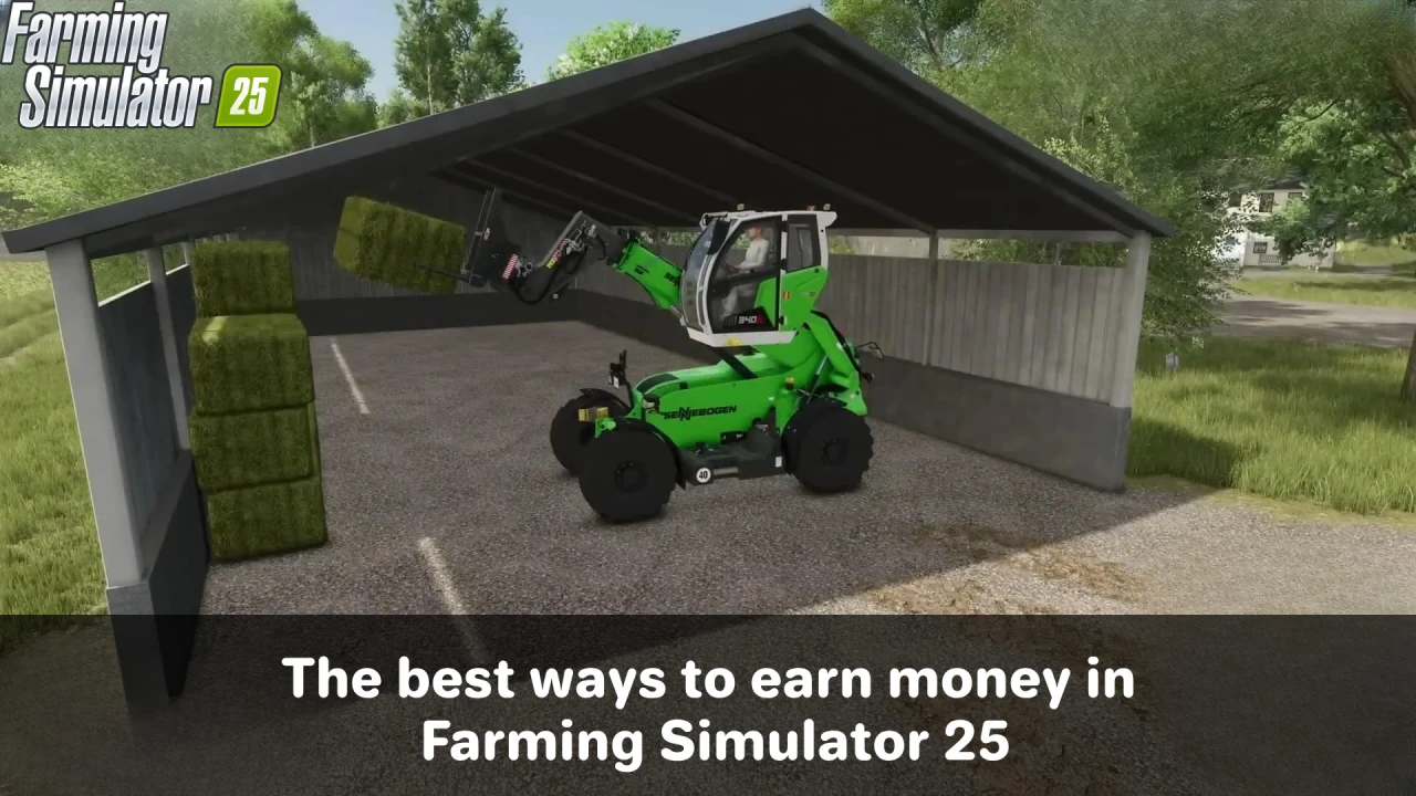 TOP-5 Best Ways to Earn Money in FS 25