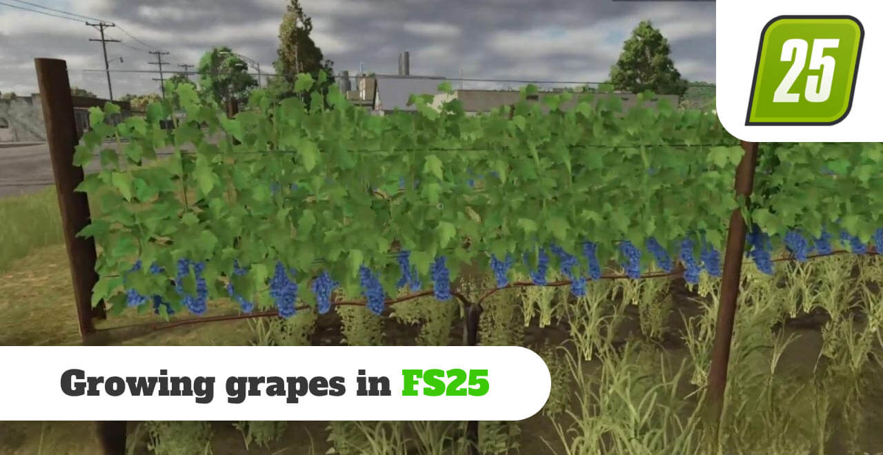 Guide to Growing Grapes in FS25