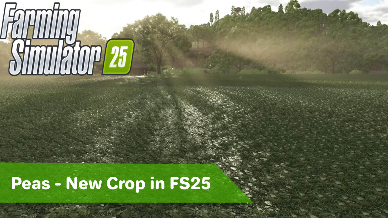 Peas - New Crop in FS25