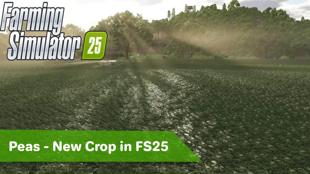 Peas - New Crop in FS25