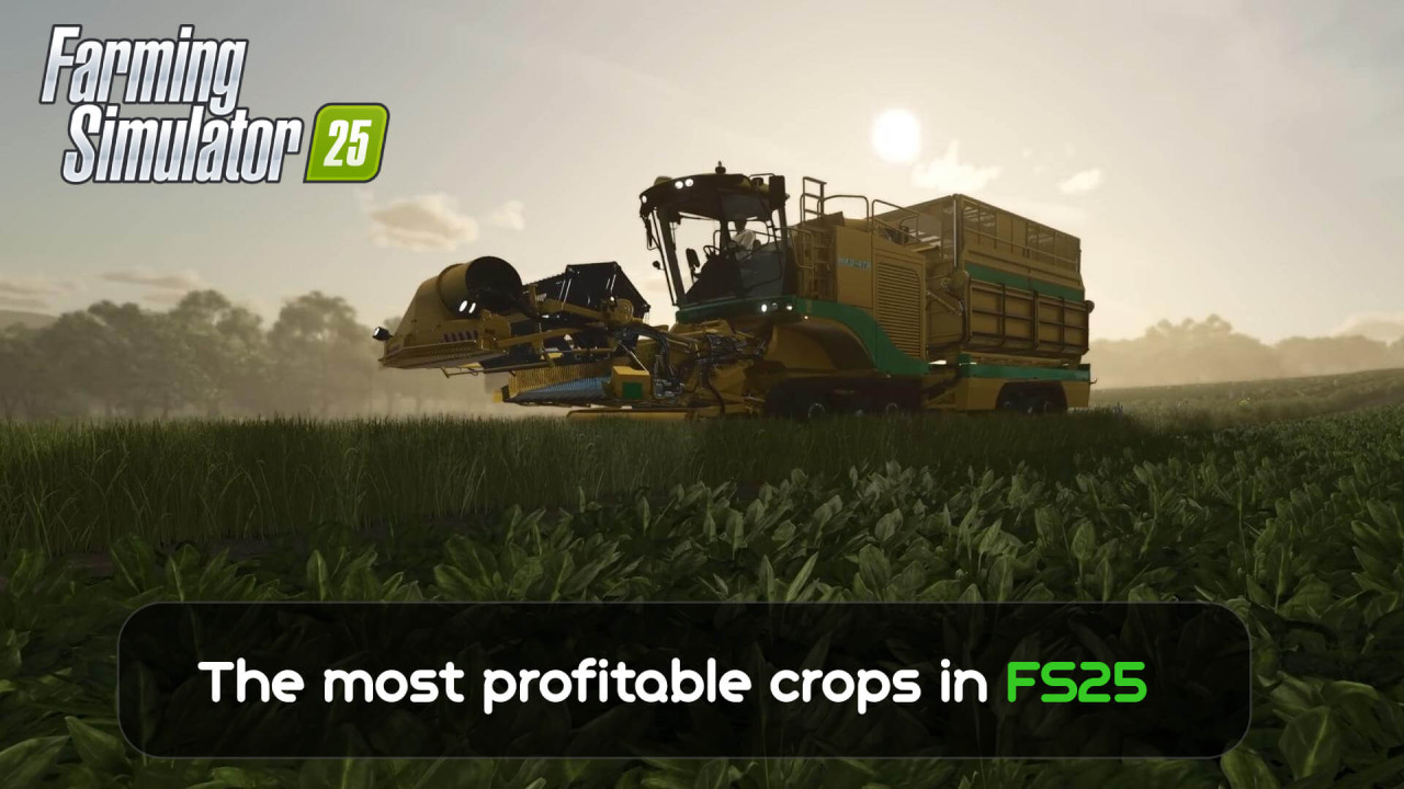 The Most Profitable Crops in FS25