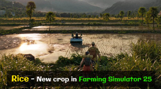 Rice - New crop in Farming Simulator 25