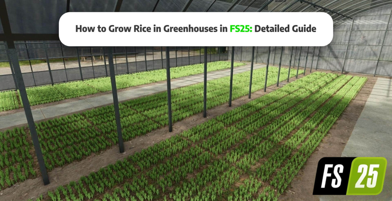 How to Grow Rice Seedlings in Greenhouses in FS25: Detailed Guide