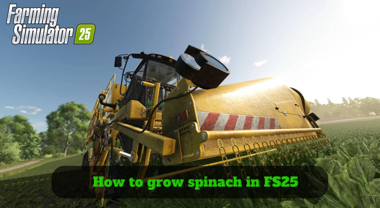 How to Grow Spinach in FS25?