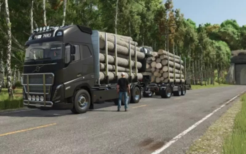 Timber Frame FH16