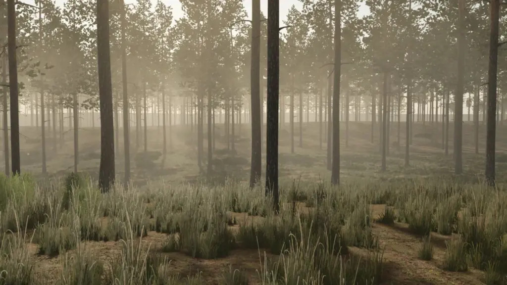 Pinewood Forest