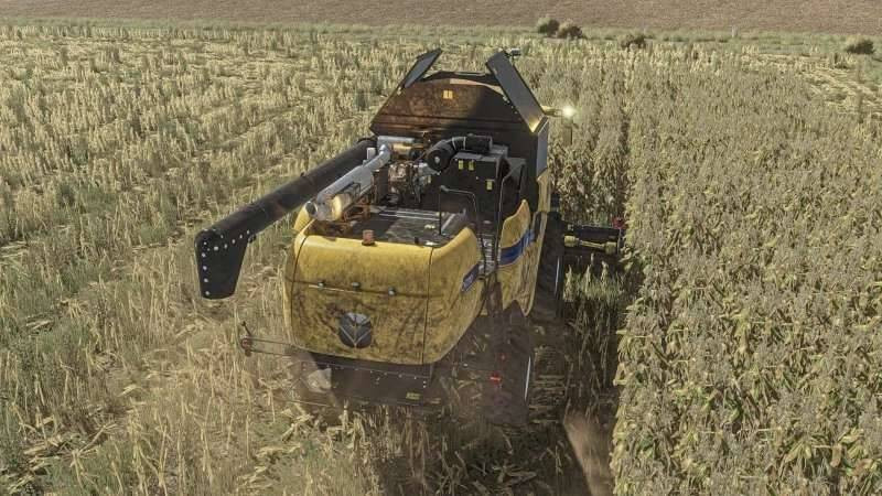 Realistic Maize Texture