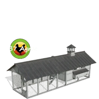 XXL Chicken Coop