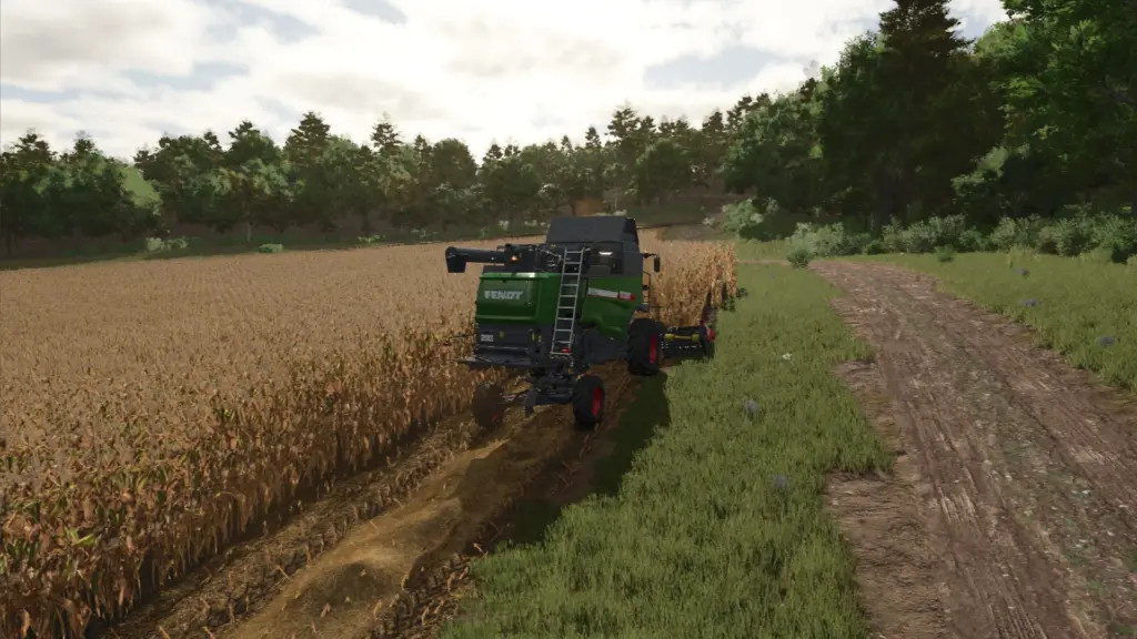 Extended Straw Crops