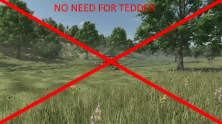 Grass to hay after 24 hours V Beta