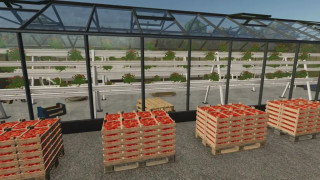 Hydroponics Greenhouse