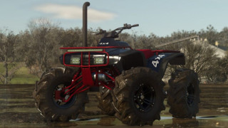 Lizard Fourtrax 300