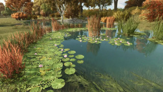 Natural Waterplants