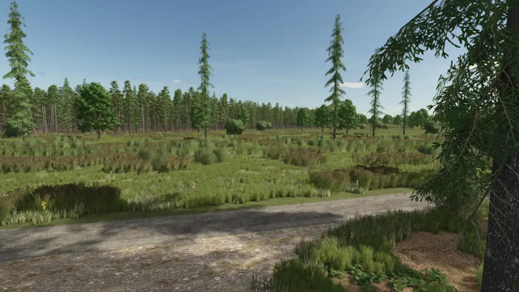 Sunshine Forest Map