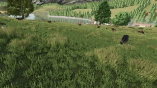 Alpine Map textures