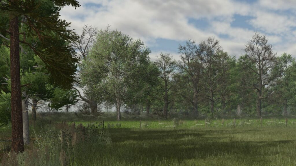 DecoFoliage Pack (Prefab)