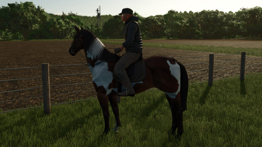 Horse Helper