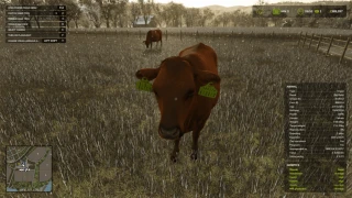 Realistic Livestock