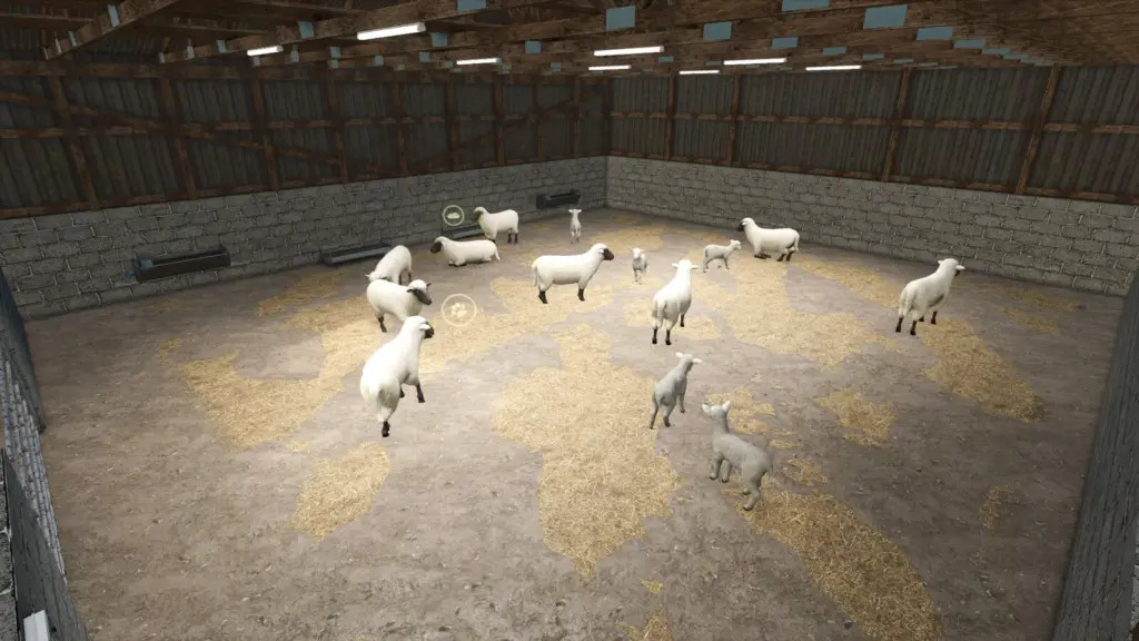 UK Indoor Sheep Barn