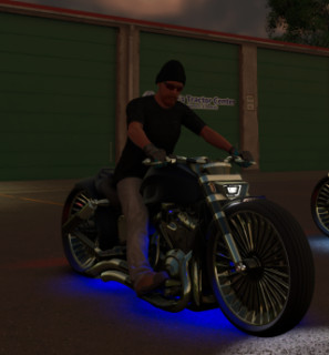 Custom harley