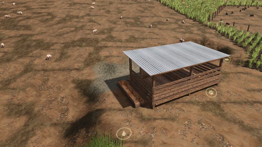 Brazilian Pigsty