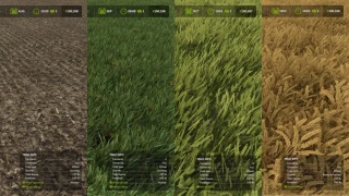 Fast Growth