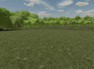 Hickory Hills