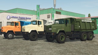 Lizard 65032