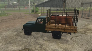 Lizard Rural F75