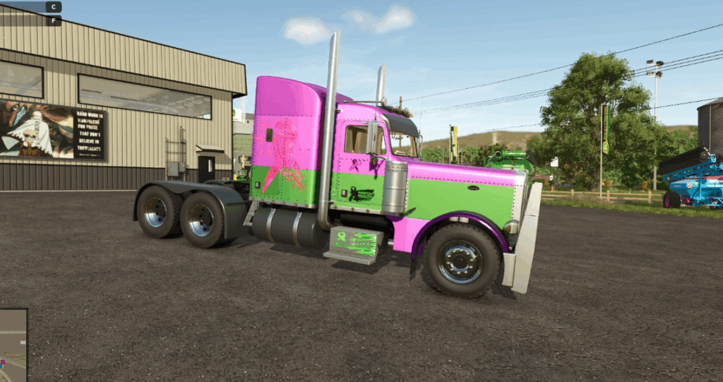 Peter Built 379