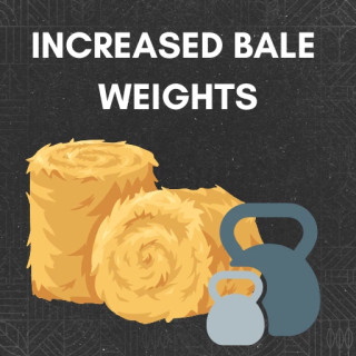 Realistic Bale Physics