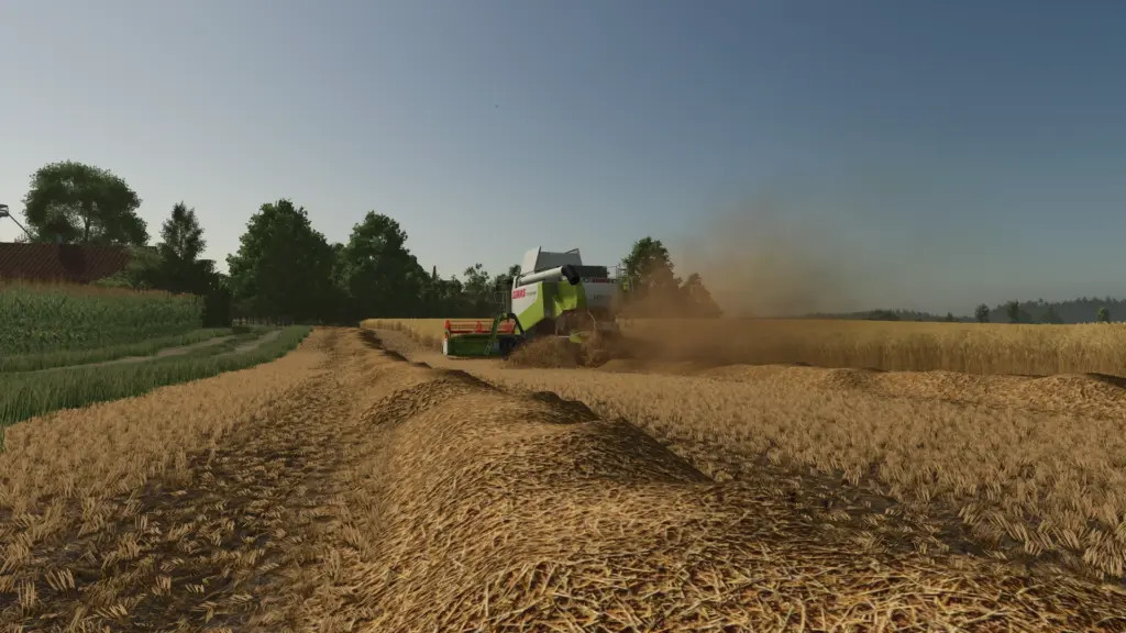 Straw Texture