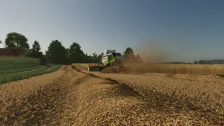Straw Texture
