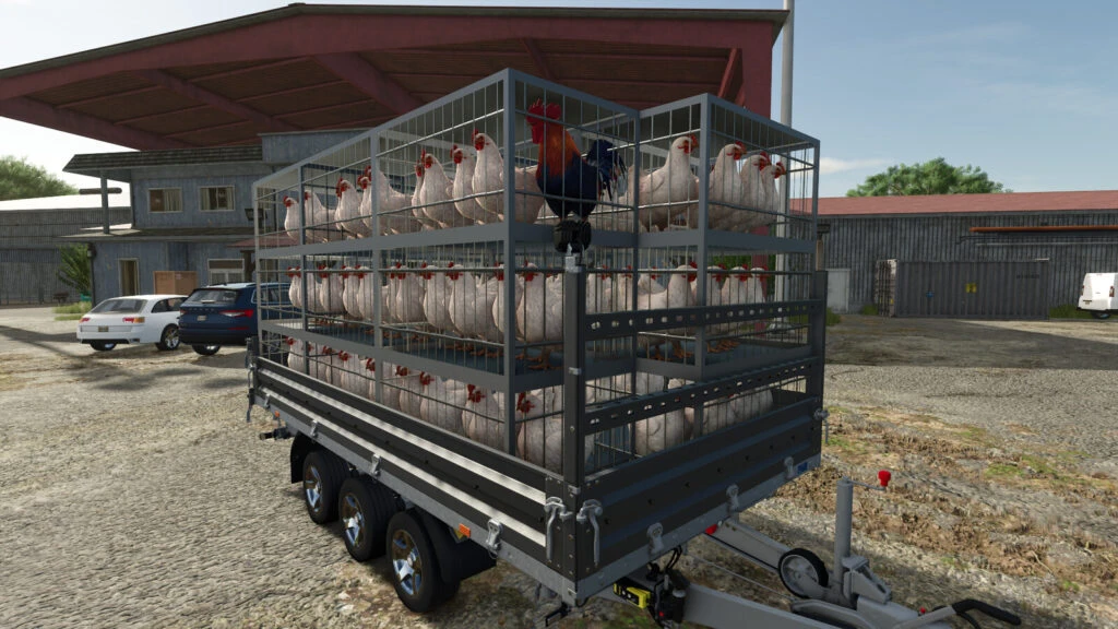 Chicken Transport Trailer Pack