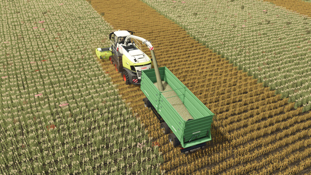 Additional-Contracts