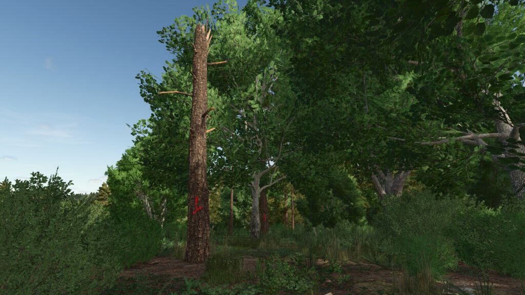 Advanced Deadwood Missions