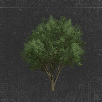 All Trees Pack