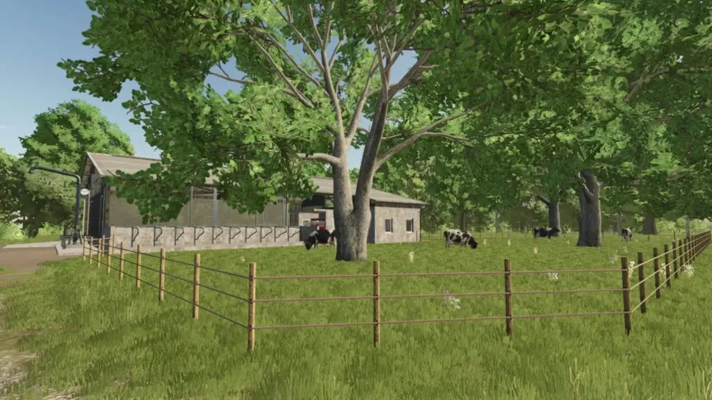 Cow stable 500