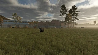 Customize Fence Cow Barn