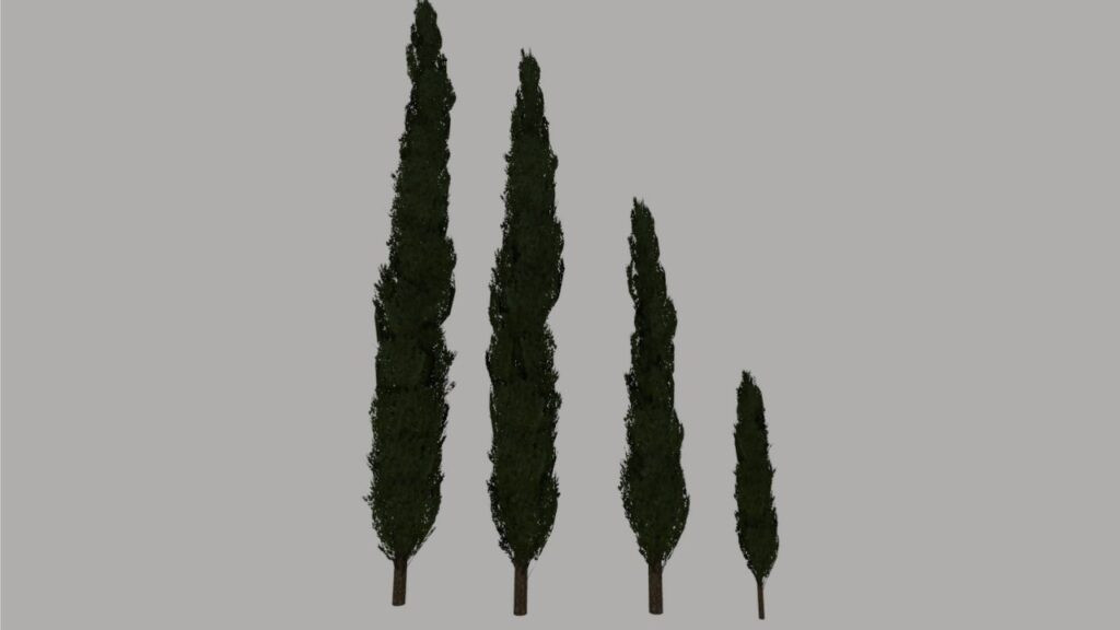Cypress Trees Pack (Prefab)