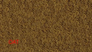 FillPlane textures pack